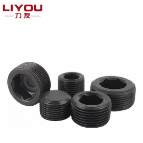 Hex Socket Pipe Plug