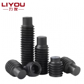 Hex Socket Set Screw with Dog Point